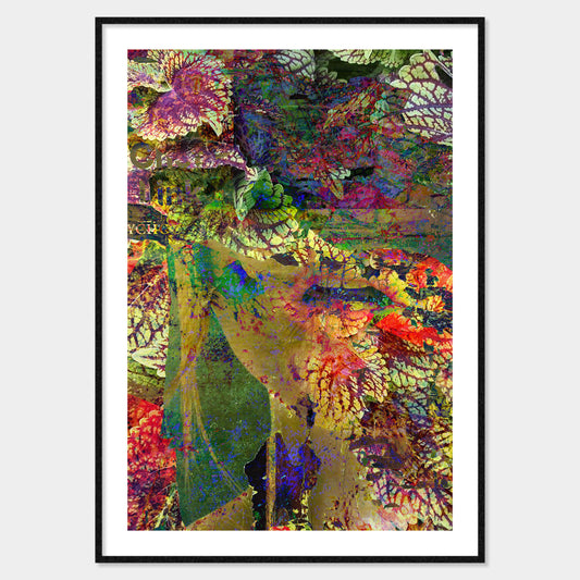 Coleus
