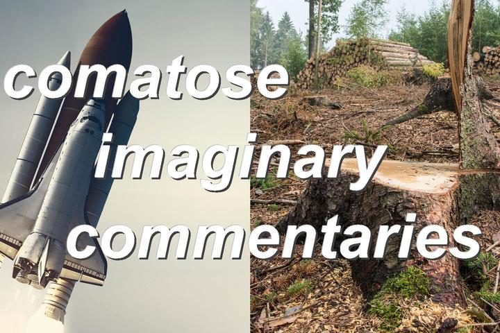 comatose imaginary commentaries