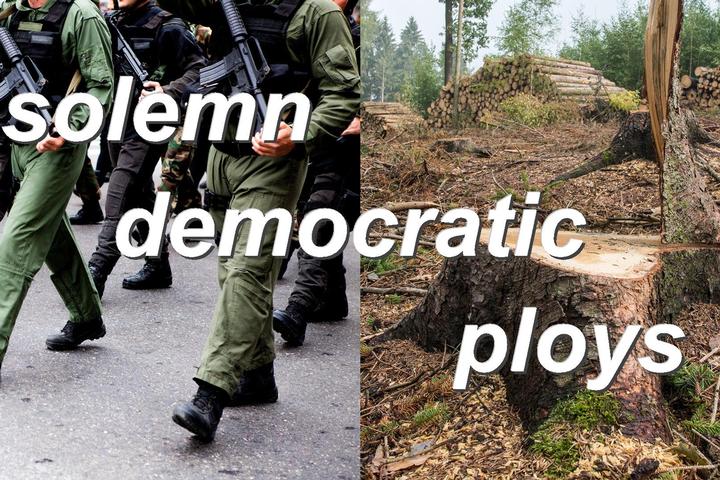 solemn democratic ploys