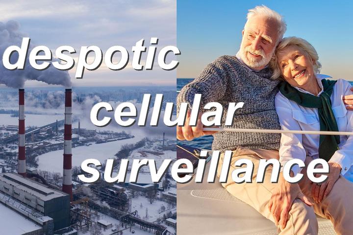 despotic cellular surveillance