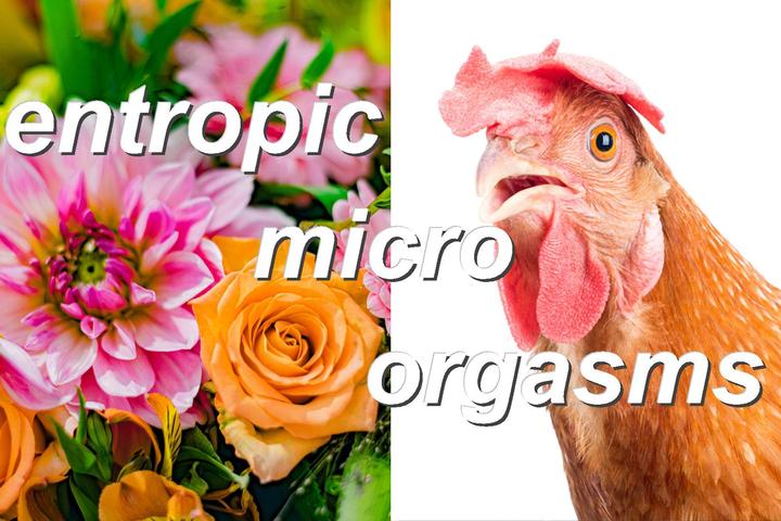 entropic micro orgasms