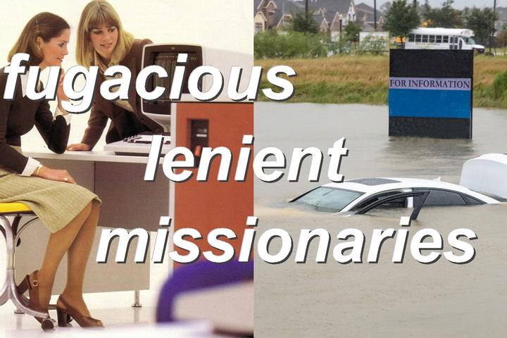 fugacious lenient missionaries