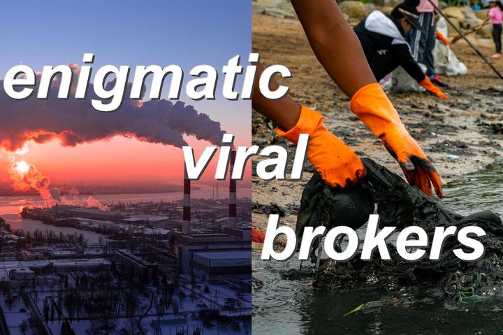 enigmatic viral brokers