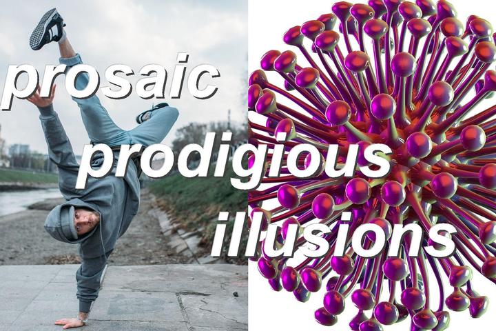 prosaic prodigious illusions