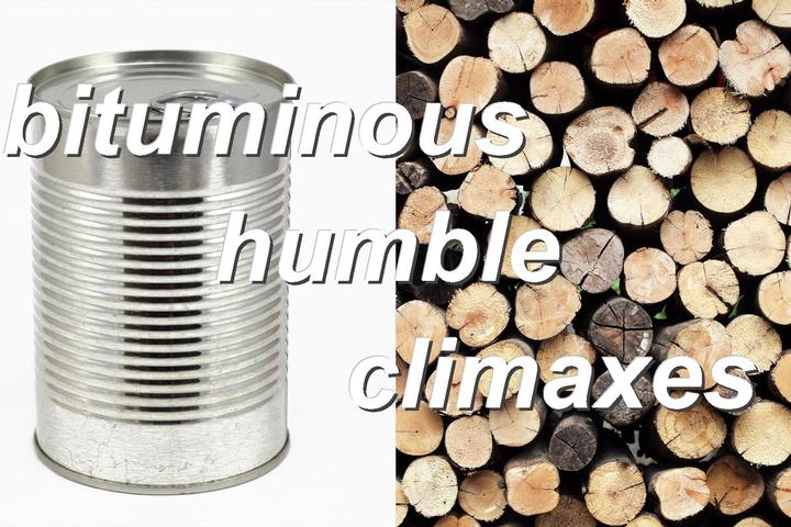 bituminous,humble,climaxes
