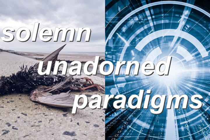 solemn unadorned paradigms