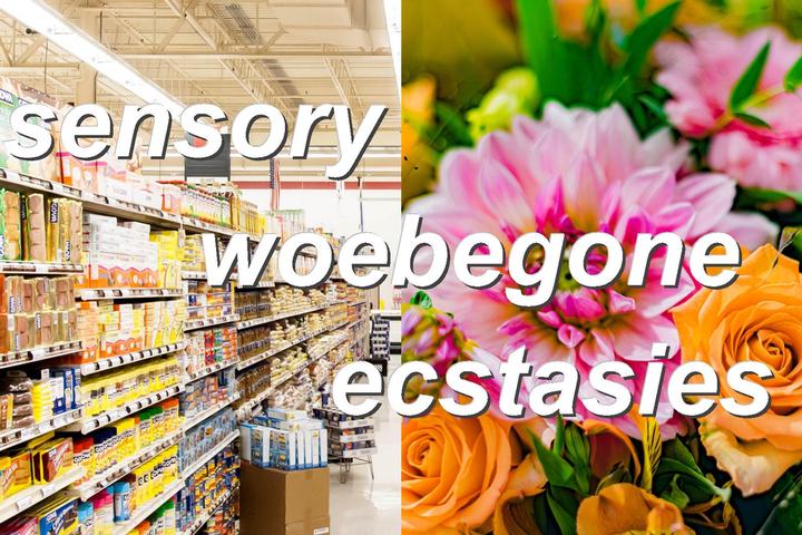 sensory woebegone ecstasies