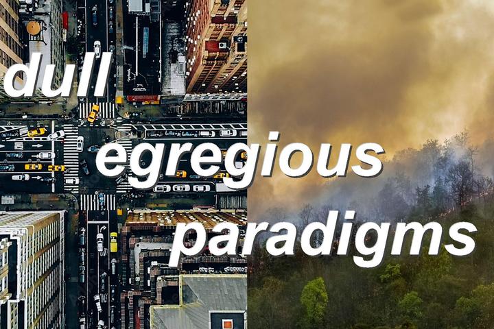 dull egregious paradigms