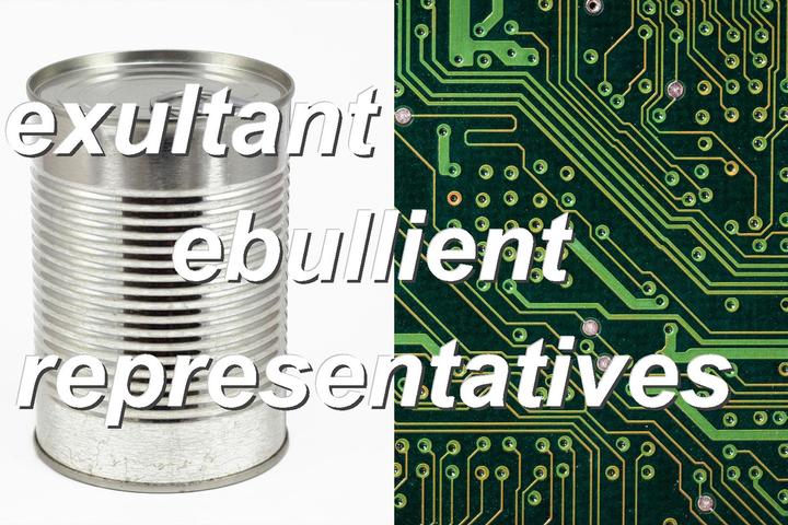 exultant ebullient representatives