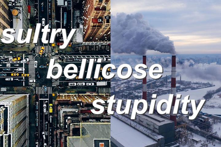 sultry,bellicose,stupidity