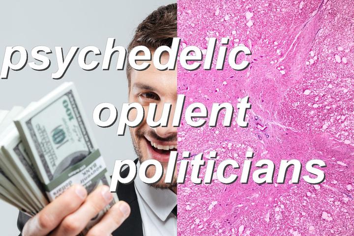 psychedelic opulent politicians