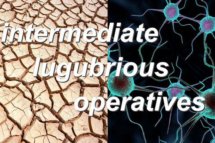 intermediate lugubrious operatives