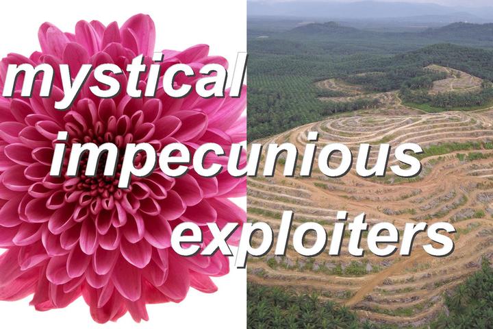 mystical impecunious exploiters