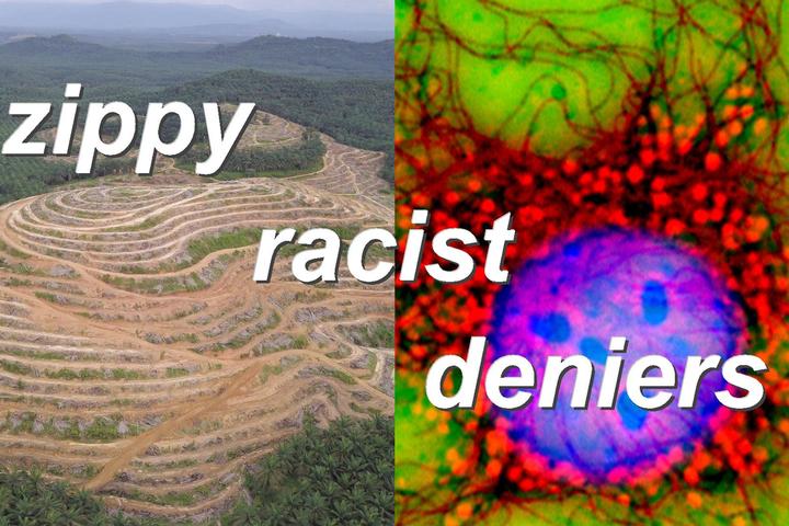 zippy racist deniers