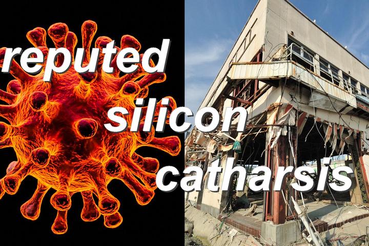 reputed silicon catharsis