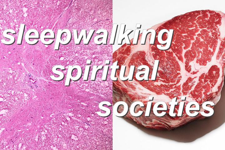 sleepwalking,spiritual,societies