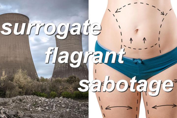 surrogate flagrant sabotage