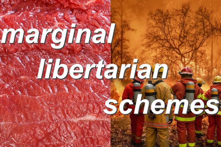 marginal libertarian schemes