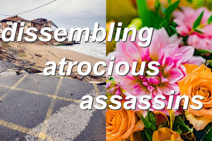 dissembling atrocious assassins