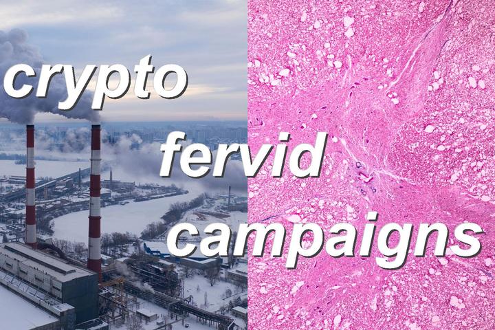 crypto fervid campaigns