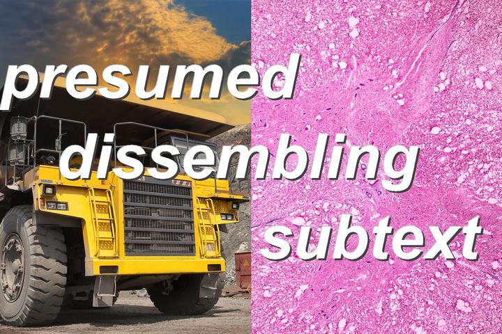 presumed dissembling subtext