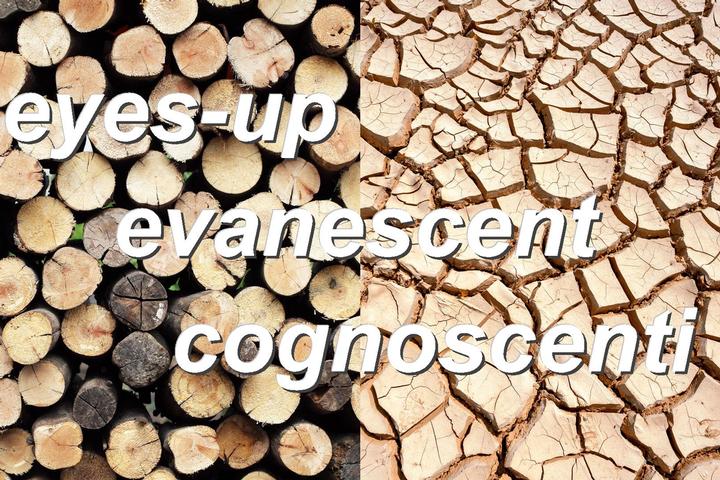 eyes-up evanescent cognoscenti