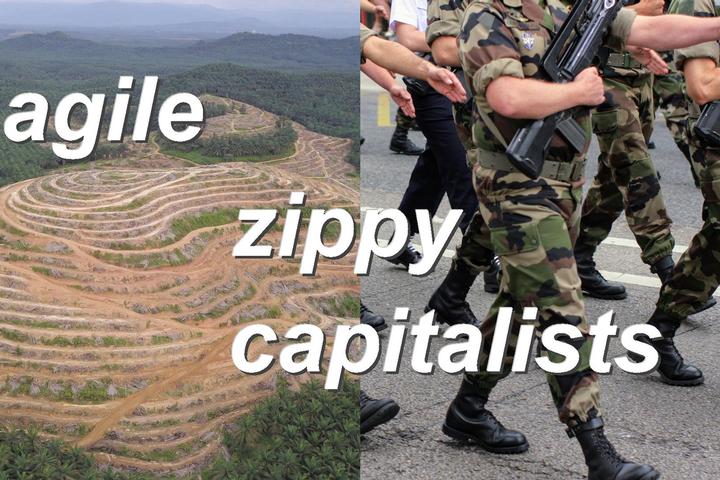 agile zippy capitalists