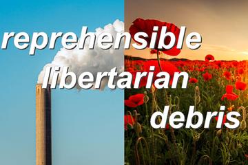 reprehensible,libertarian,debris