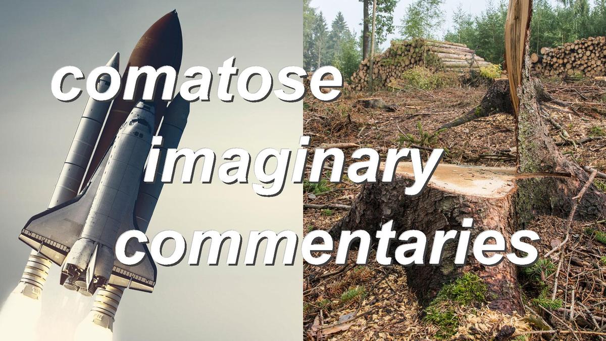 comatose imaginary commentaries