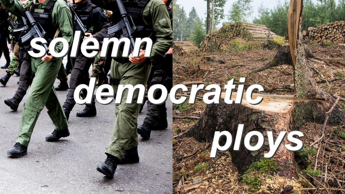 solemn democratic ploys