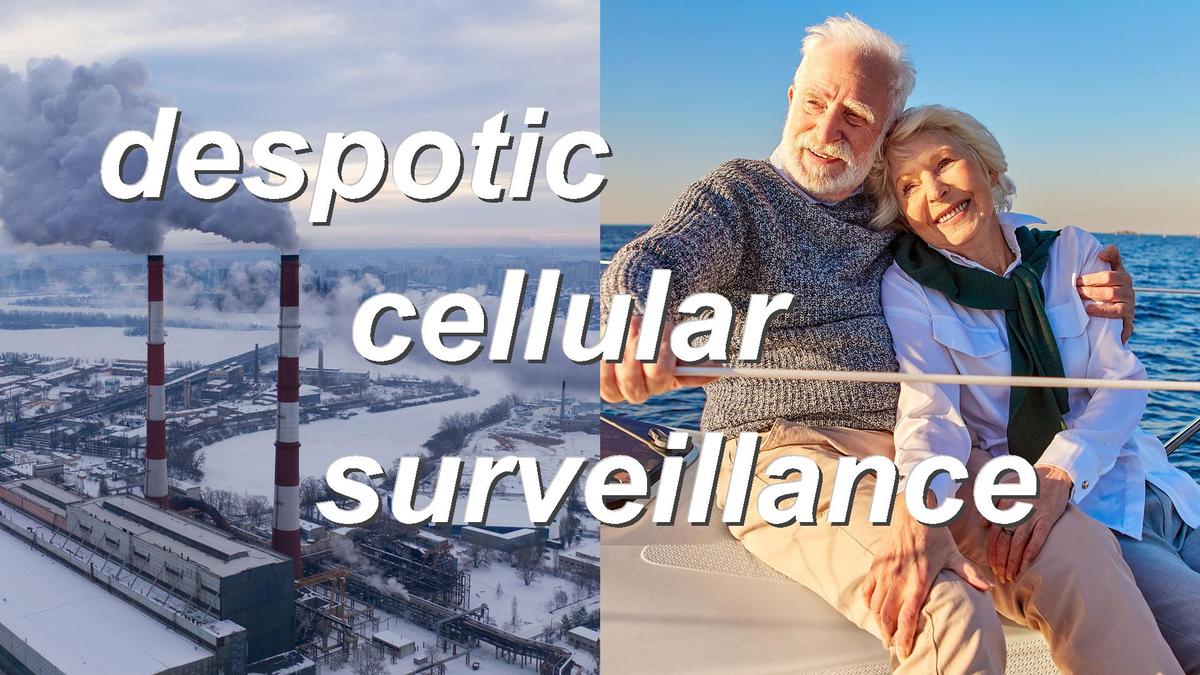 despotic cellular surveillance