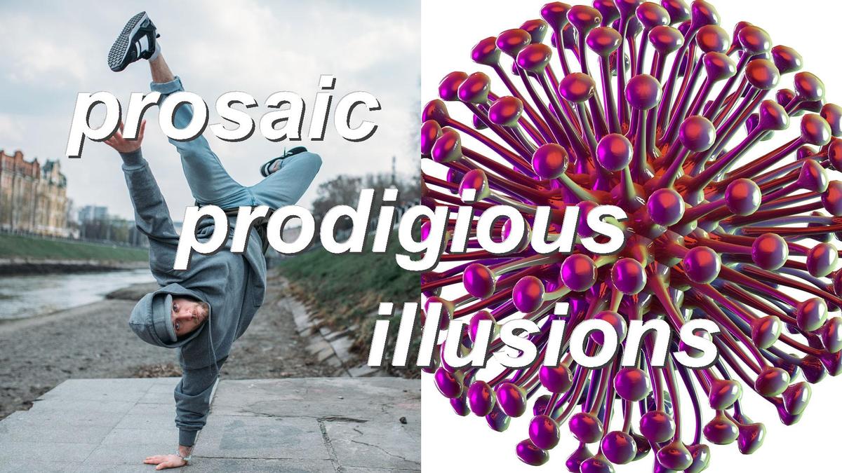 prosaic prodigious illusions