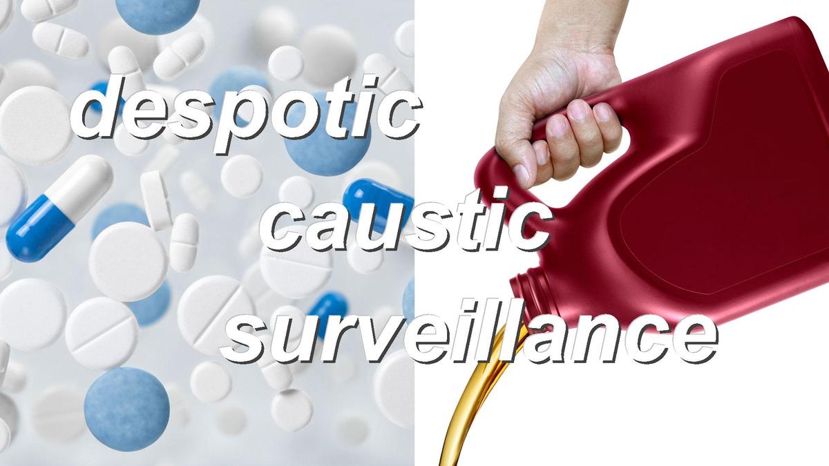 despotic caustic surveillance