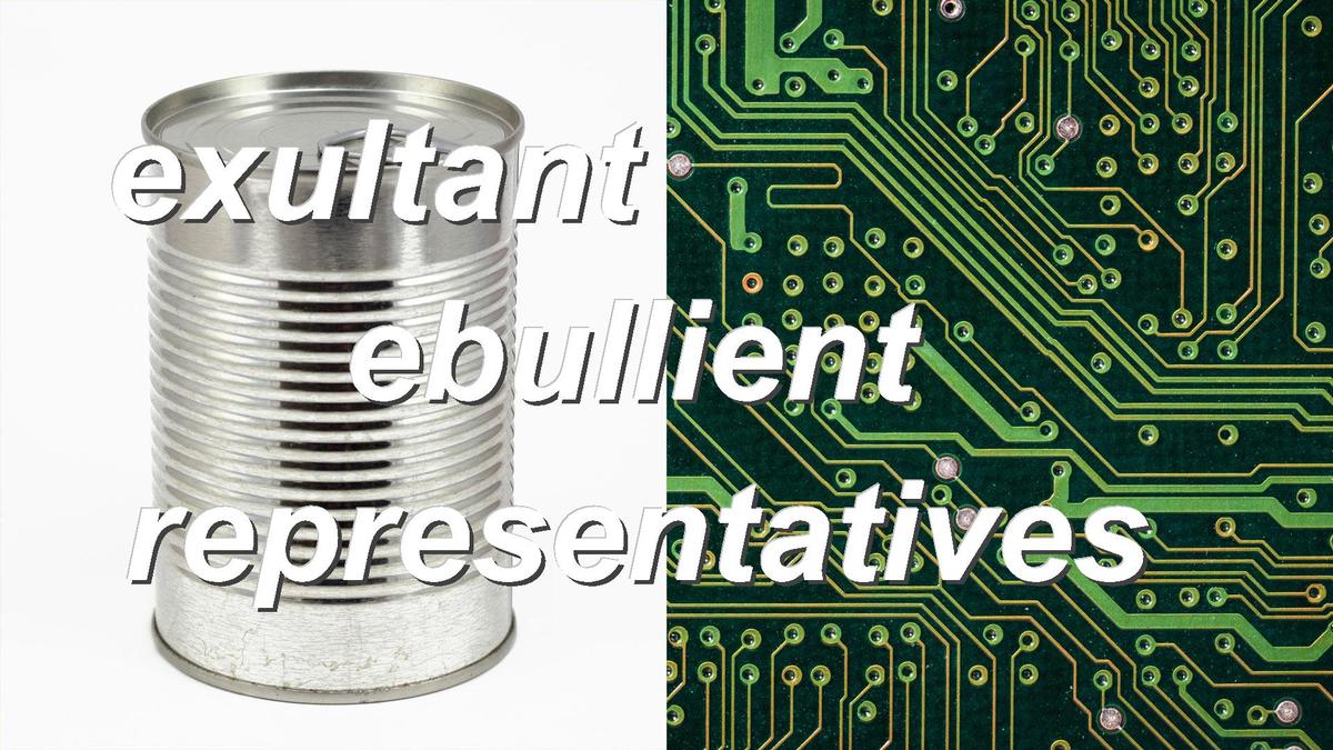 exultant ebullient representatives