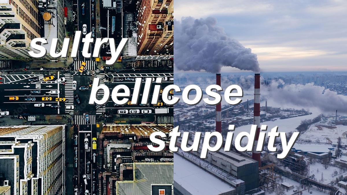 sultry bellicose stupidity