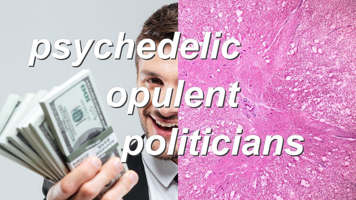 psychedelic opulent politicians