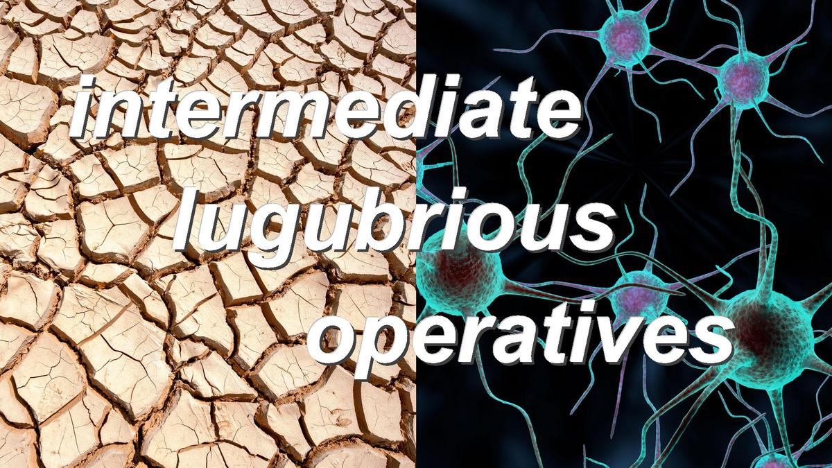 intermediate lugubrious operatives