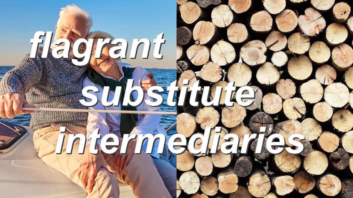 flagrant substitute intermediaries