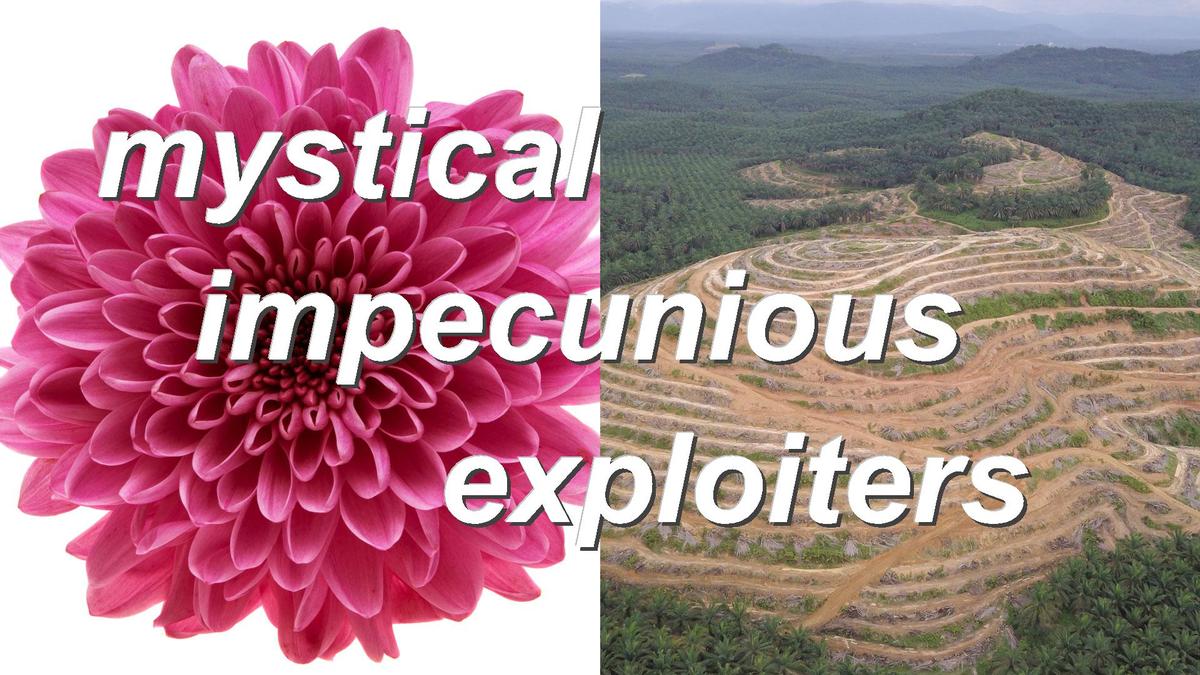 mystical impecunious exploiters