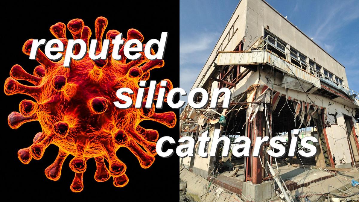 reputed silicon catharsis