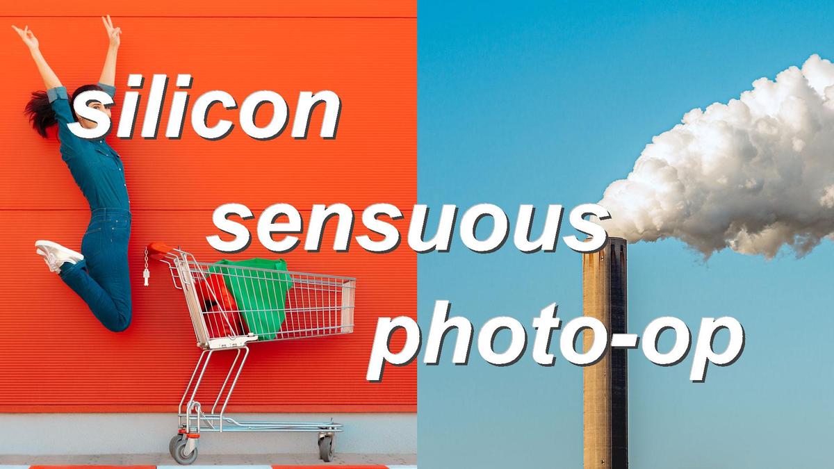 silicon sensuous photo-op