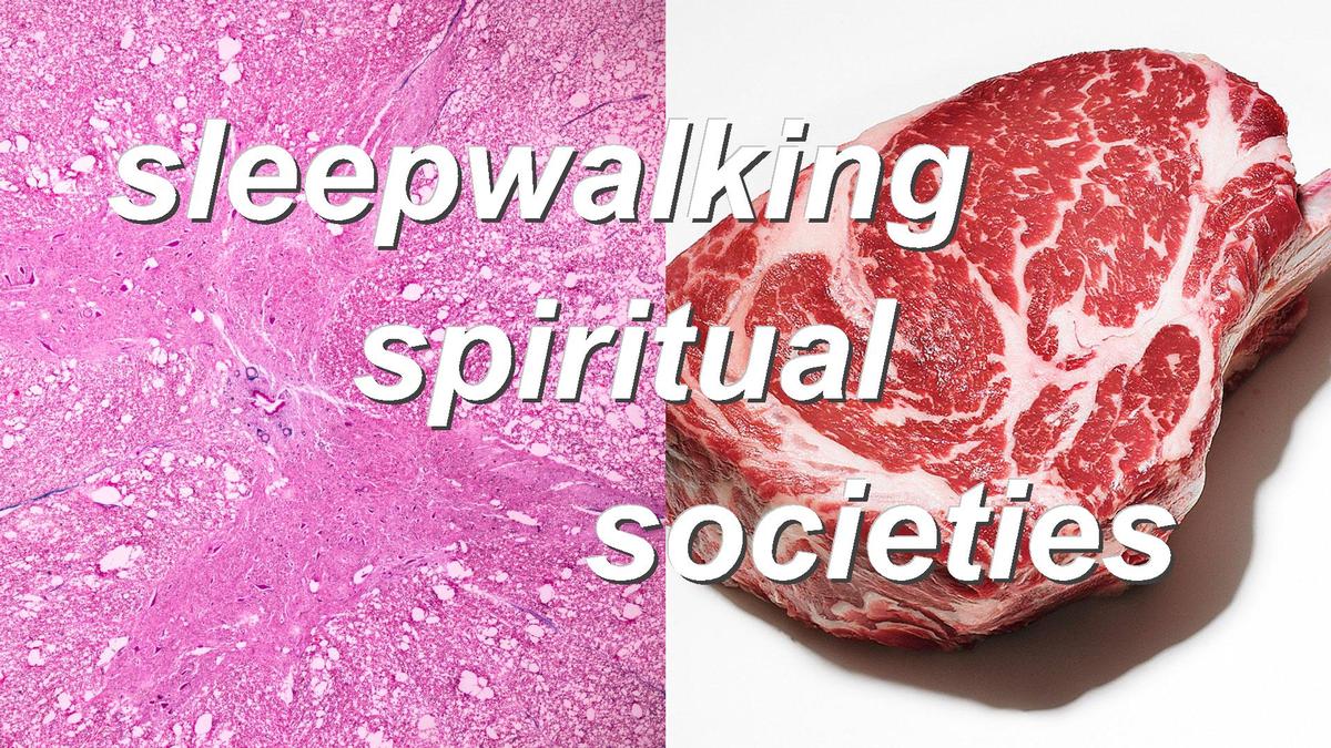 sleepwalking spiritual societies