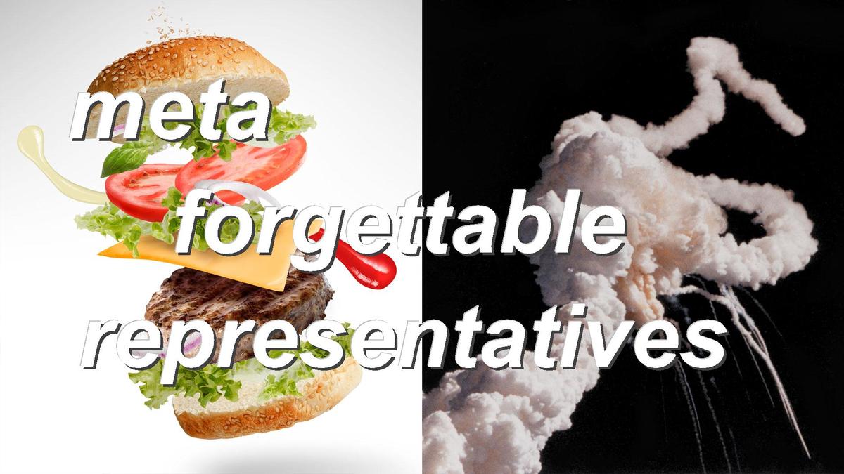 meta forgettable representatives