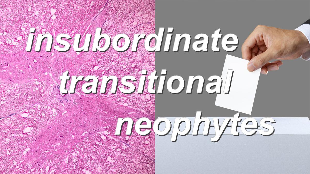 insubordinate transitional neophytes