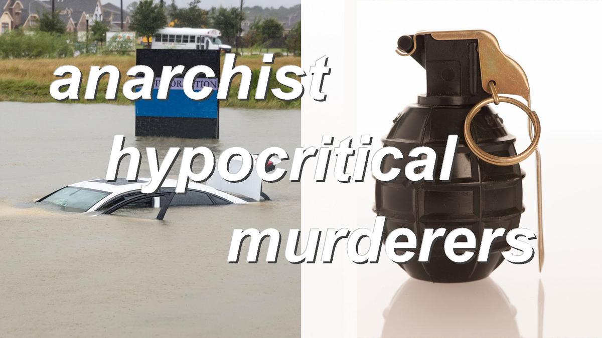 anarchist hypocritical murderers