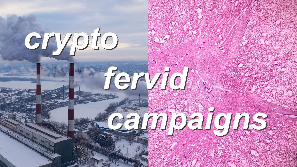 crypto fervid campaigns