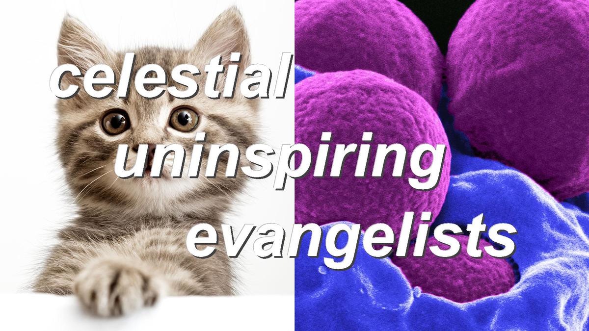 celestial uninspiring evangelists