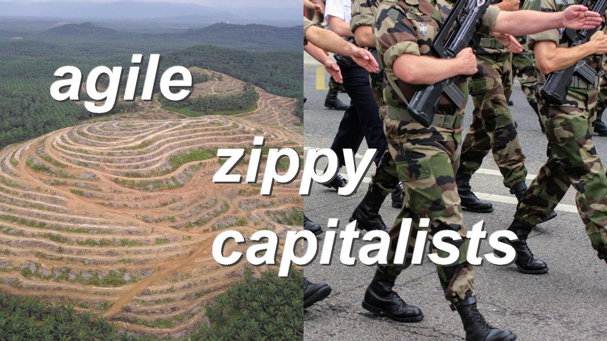 agile zippy capitalists