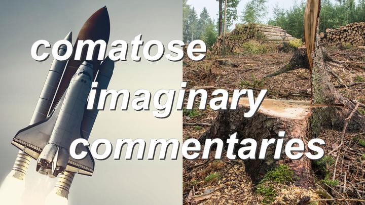 comatose imaginary commentaries