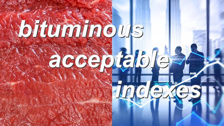 bituminous acceptable indexes